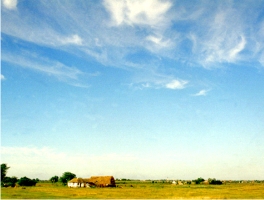 01salas